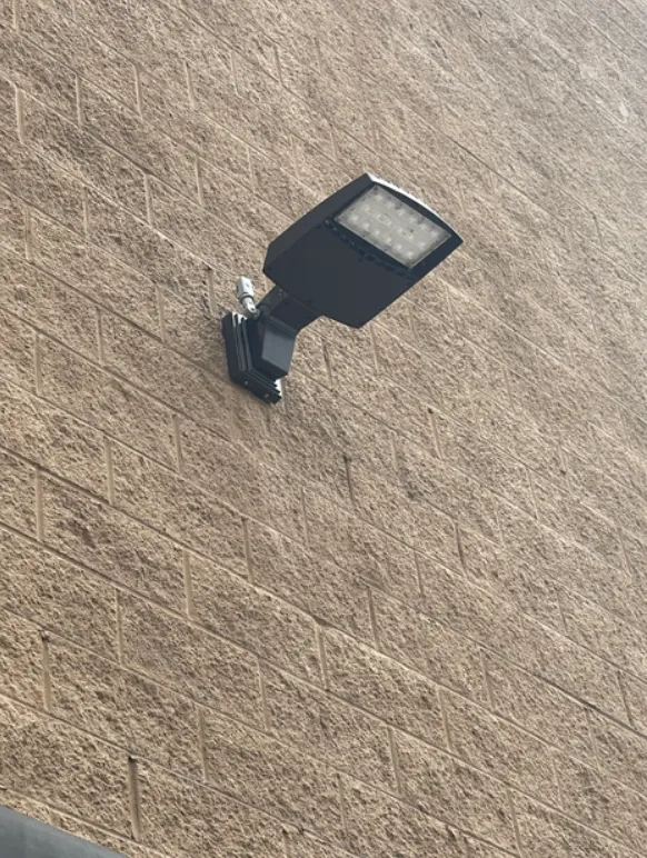 Slide of Faille Electric