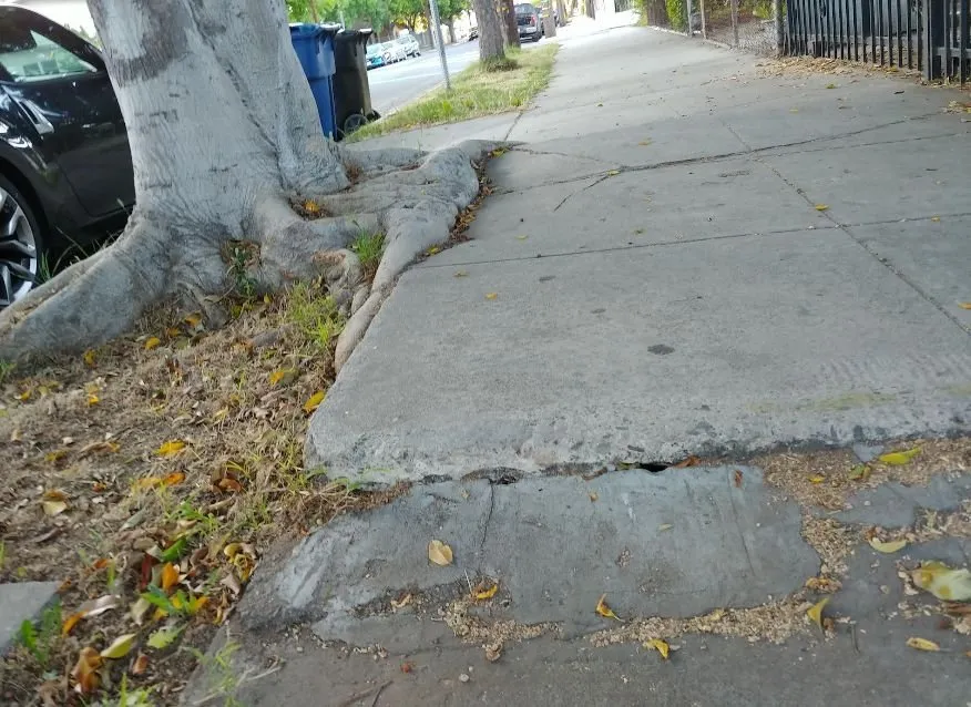 Slide of Faith Builders