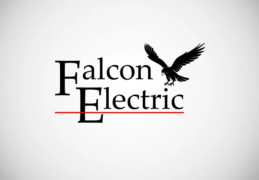 Slide of Falcon Electric