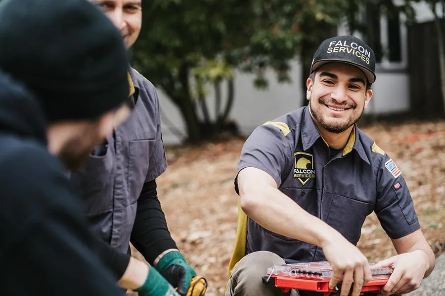 Slide of Falcon Electric