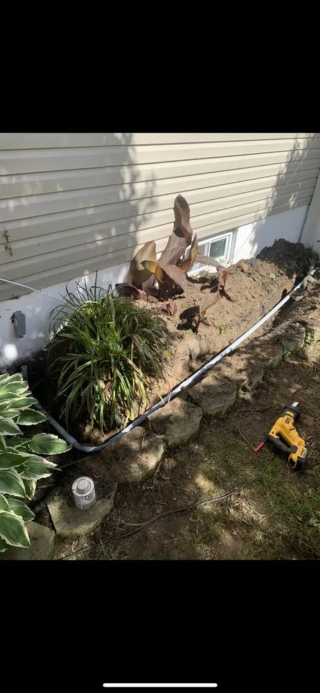 Slide of Family Fuse