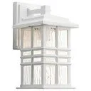 Slide of Fan Lady & Lighting