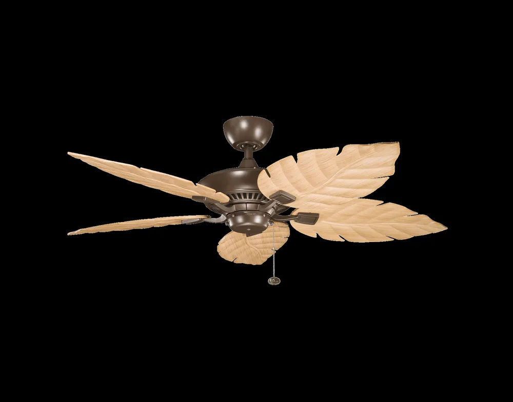 Slide of Fan Lady & Lighting