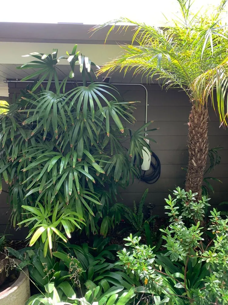 Slide of Faraday Electric