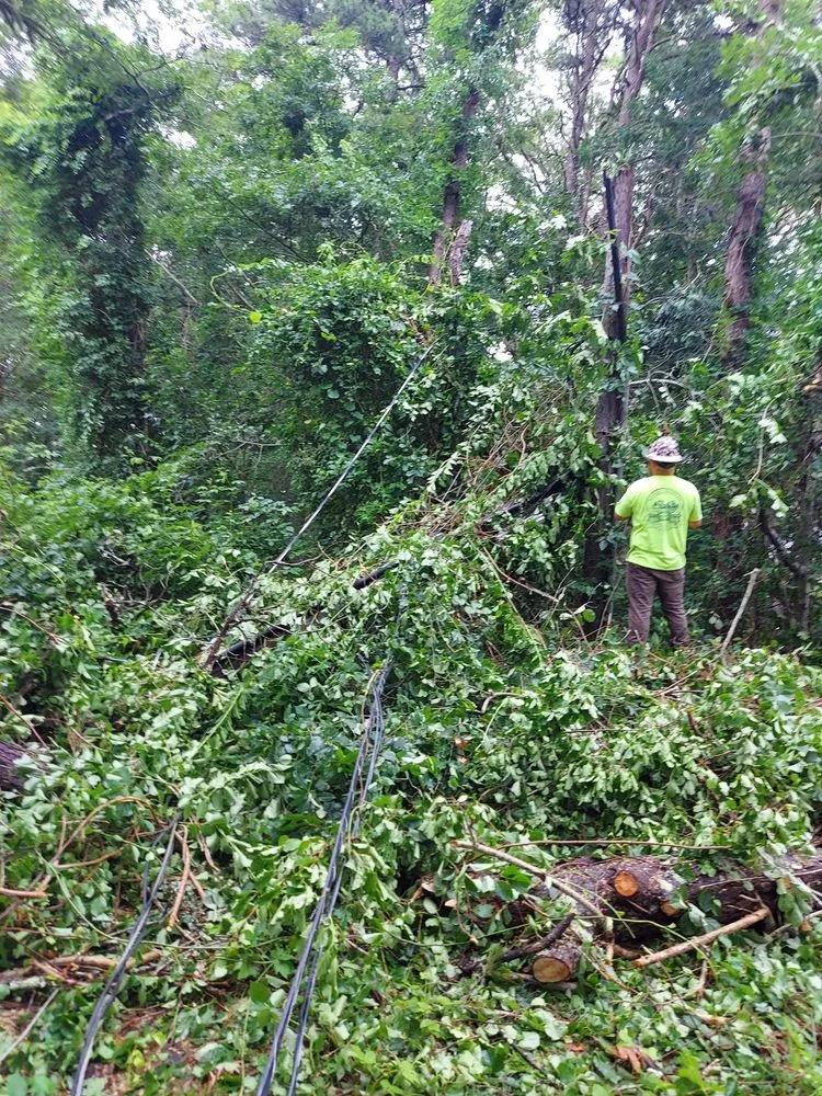 Slide of Farrell Electric