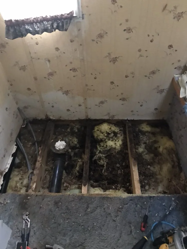 Slide of Fast Eddies construction