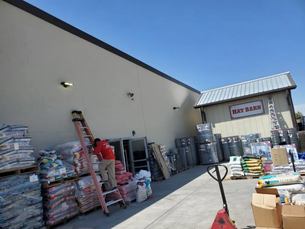 Slide of Father & Son Electric