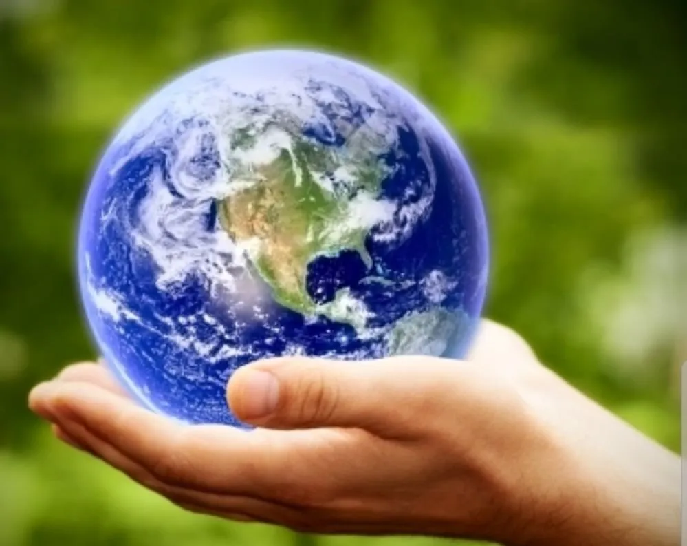 Slide of Fatima's Repair