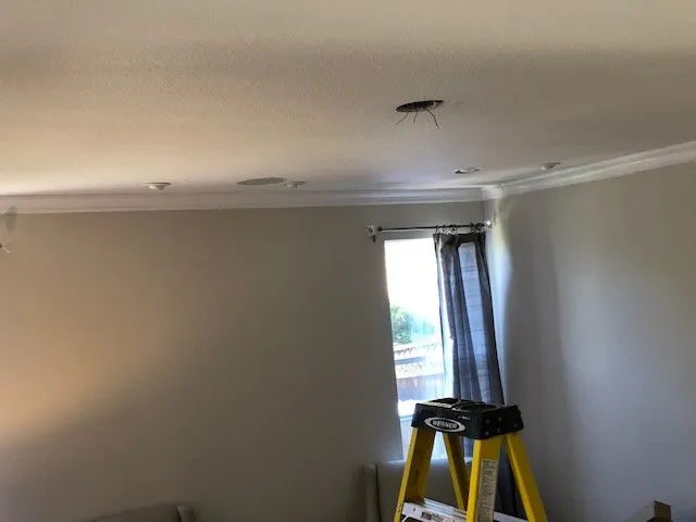 Slide of Fausto Electric