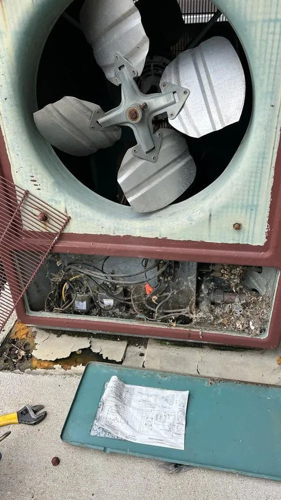 Slide of Favela Construction