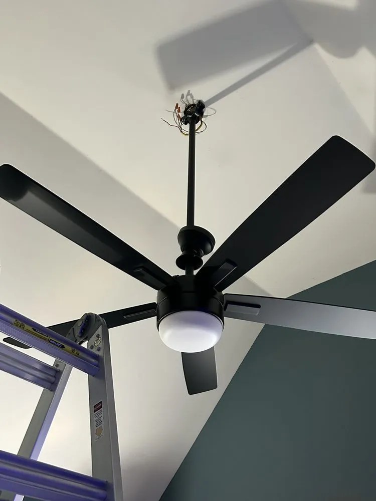 Slide of Favoured Electric