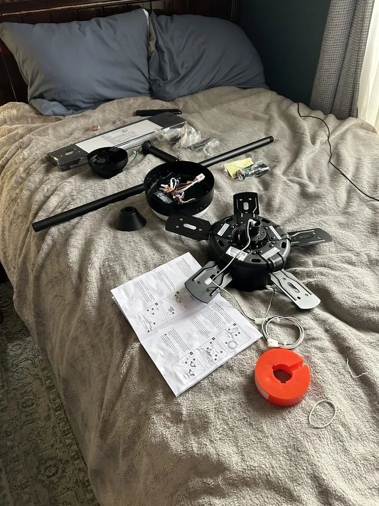 Slide of Favoured Electric