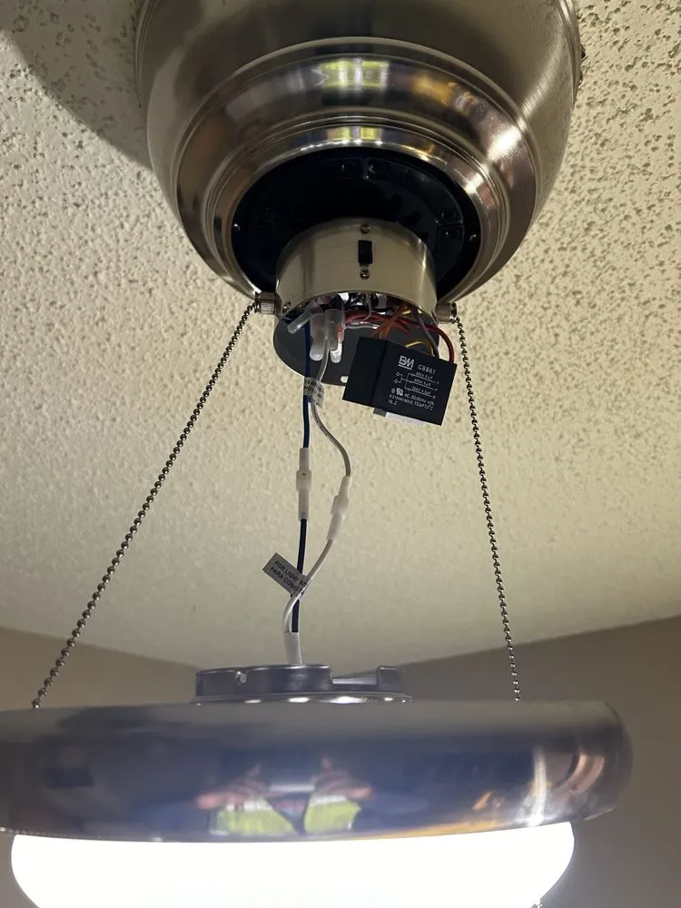 Slide of Favoured Electric