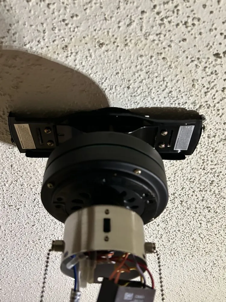 Slide of Favoured Electric