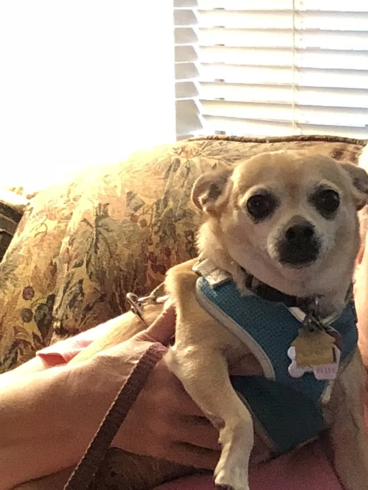 Slide of Federal Way Furnace