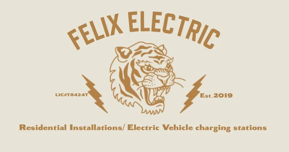 Slide of Felix Electric