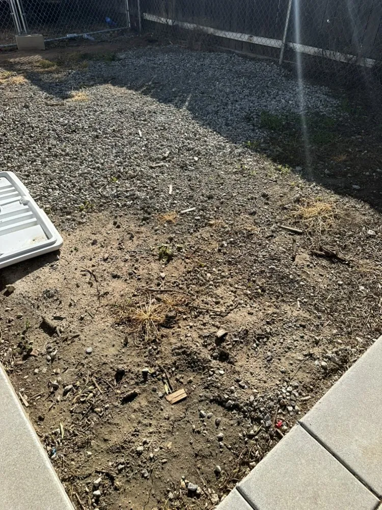 Slide of Felix Electric