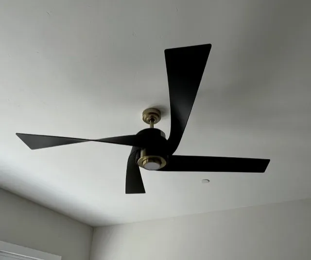 Slide of Felt Electric