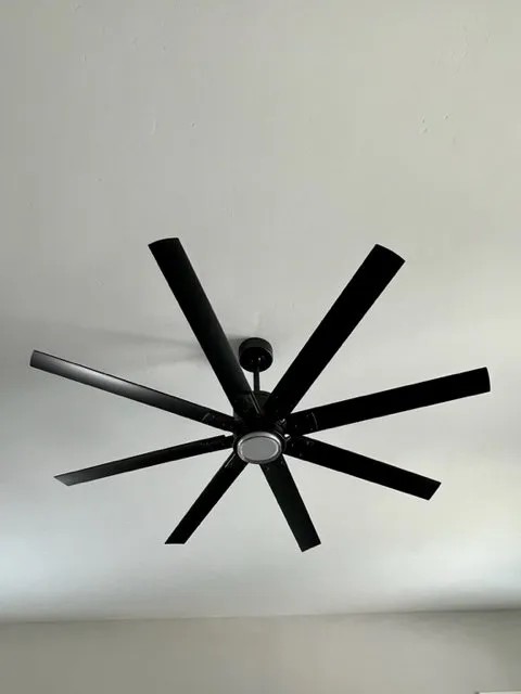 Slide of Felt Electric