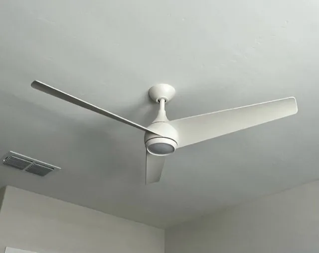 Slide of Felt Electric