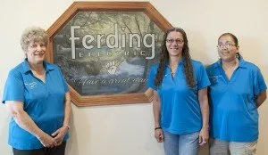 Slide of Ferding Electric