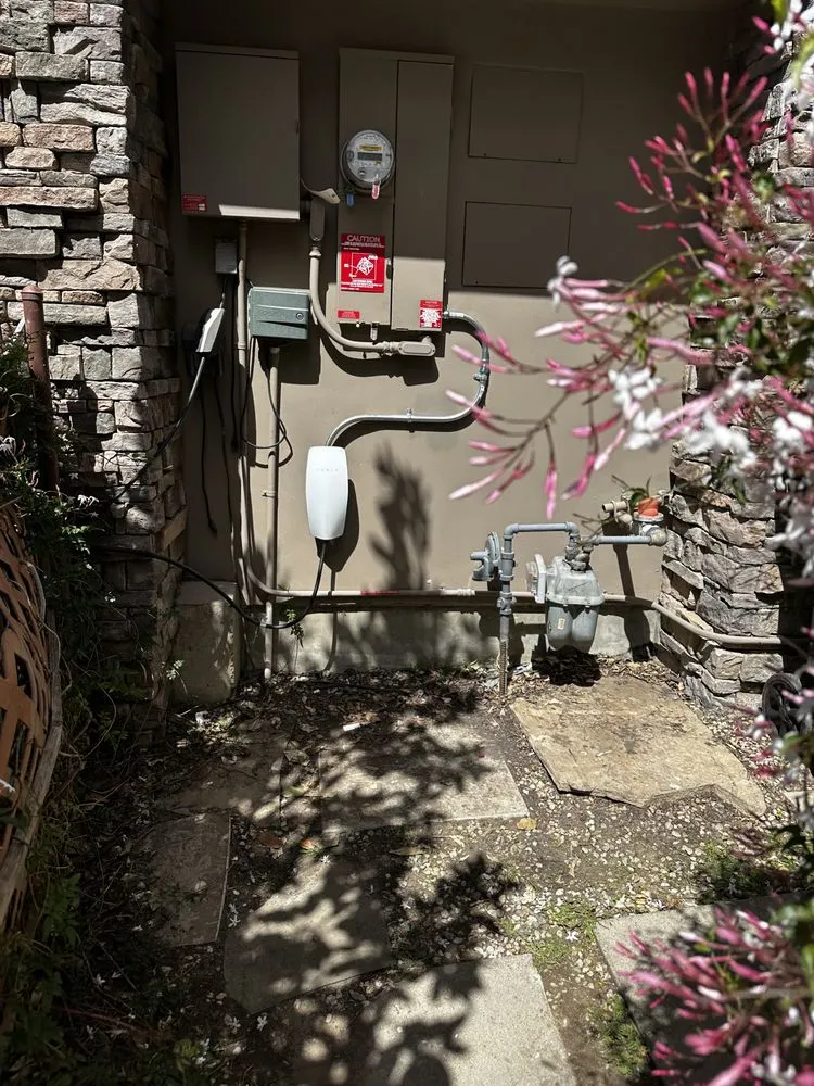 Slide of Fernie's Electric