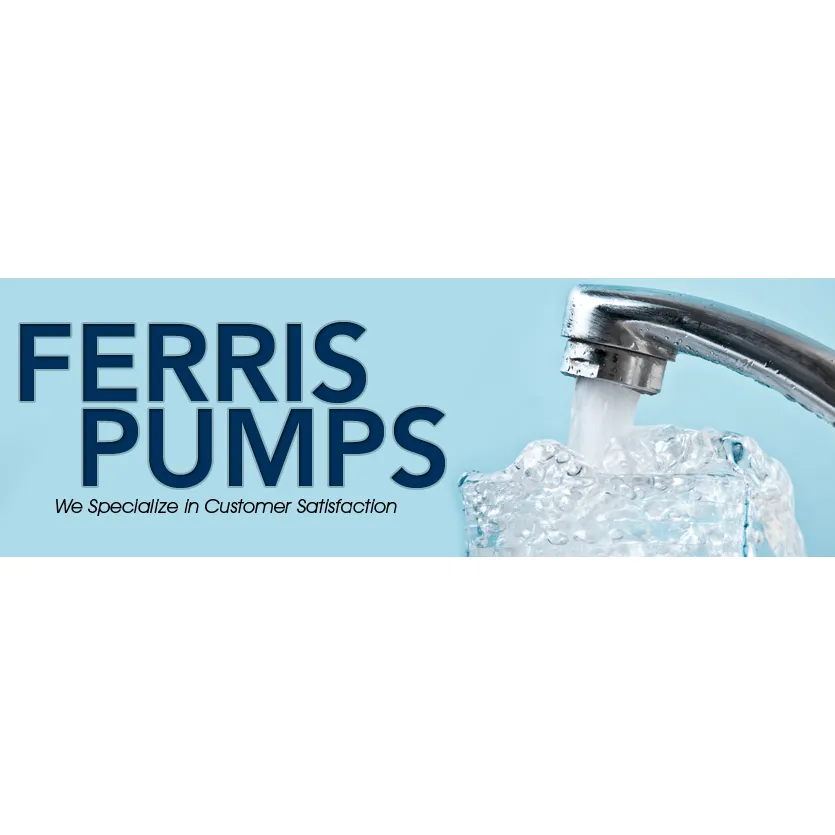 Licensed electrical repair experts serving Pennellville, NY - Ferris Pumps