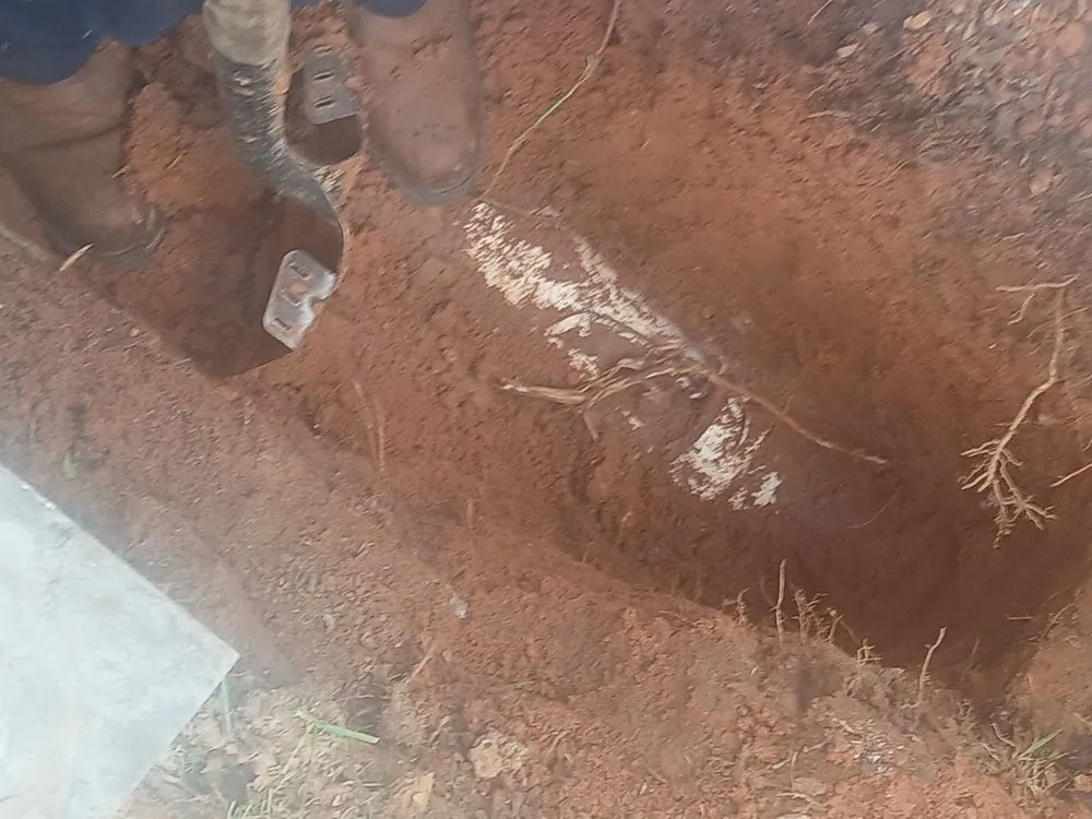 Certified electrician providing outlet and switch repair in , 