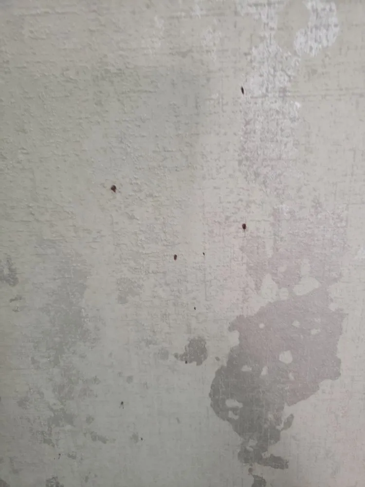 Trusted emergency electrical service in ,  by Fielder Electrical Services