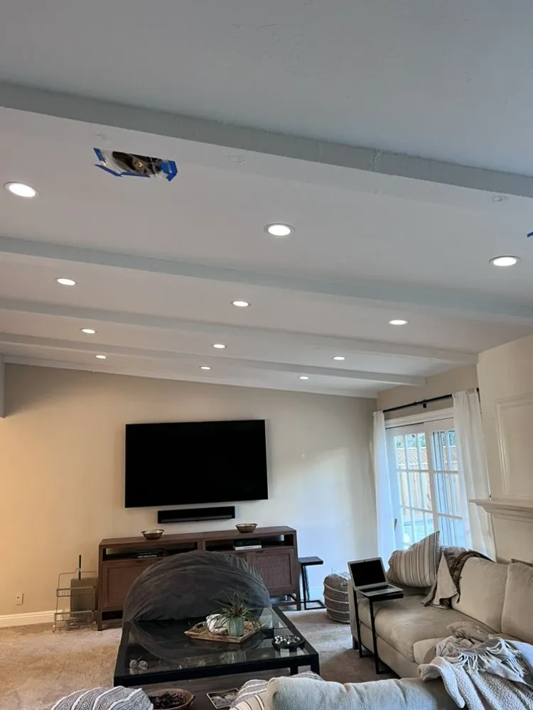 Slide of Fierce Electric