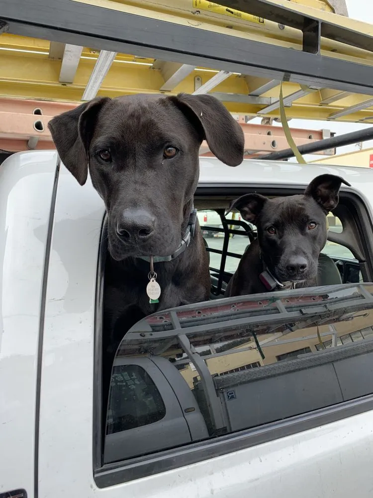 Slide of Fighting Amish Electric