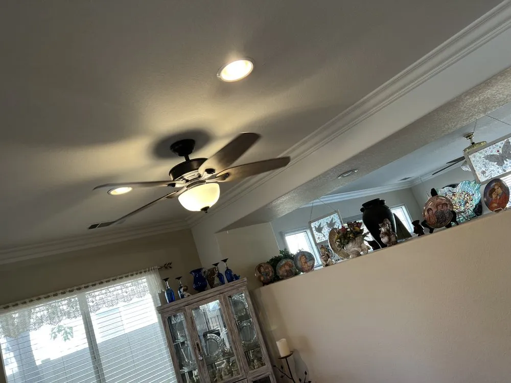 Slide of Figure Electric