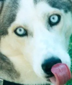 Slide of Figure Electric