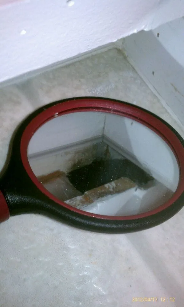 Slide of Final Fix Handyman