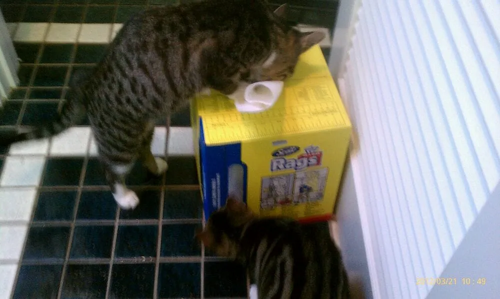 Certified wiring installation service in ,  - Final Fix Handyman