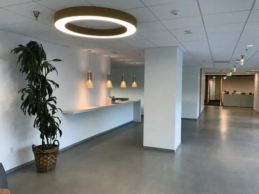 Finest Electric Logo