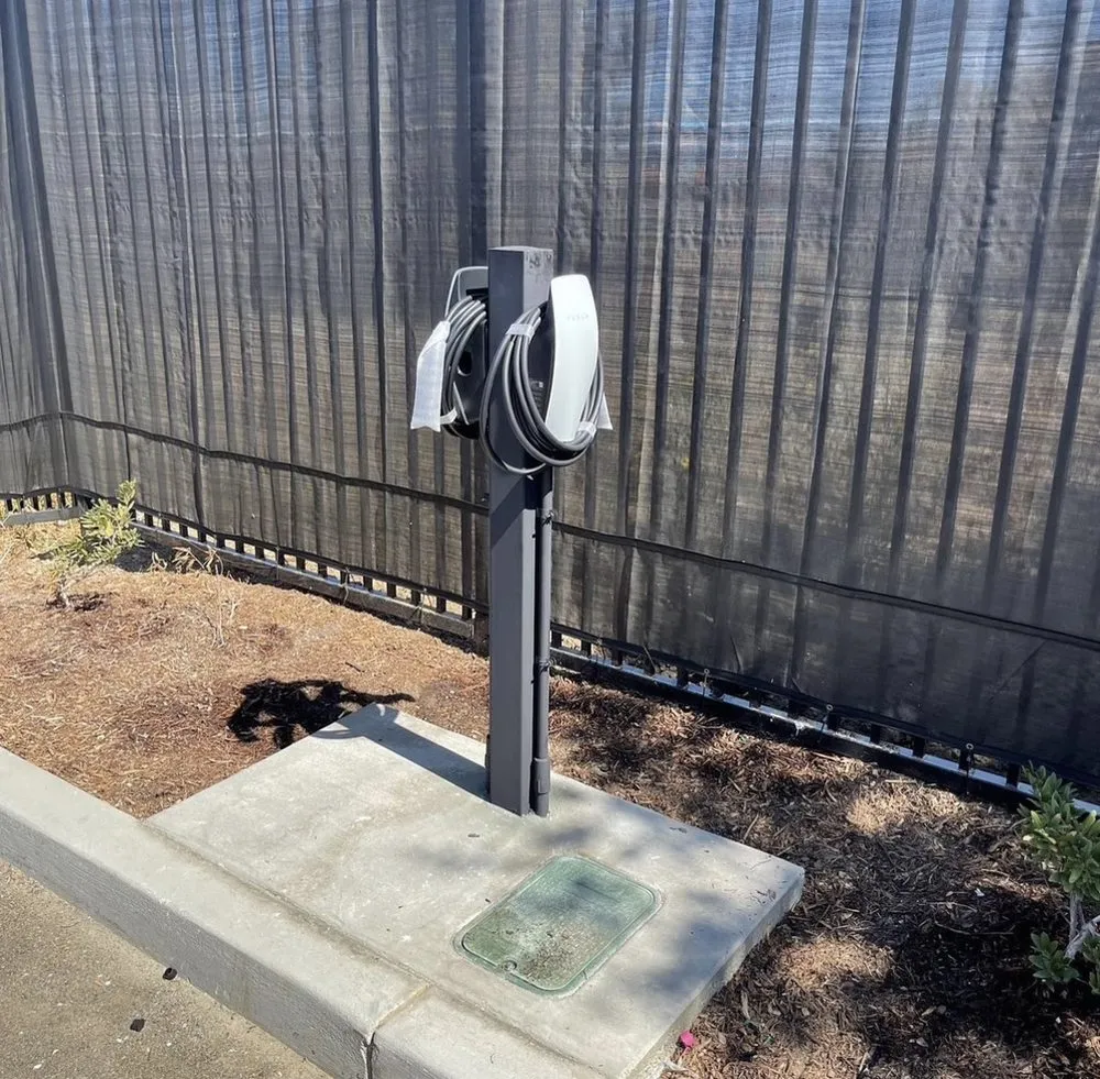 Affordable lighting installation in , by Fiore Electrical