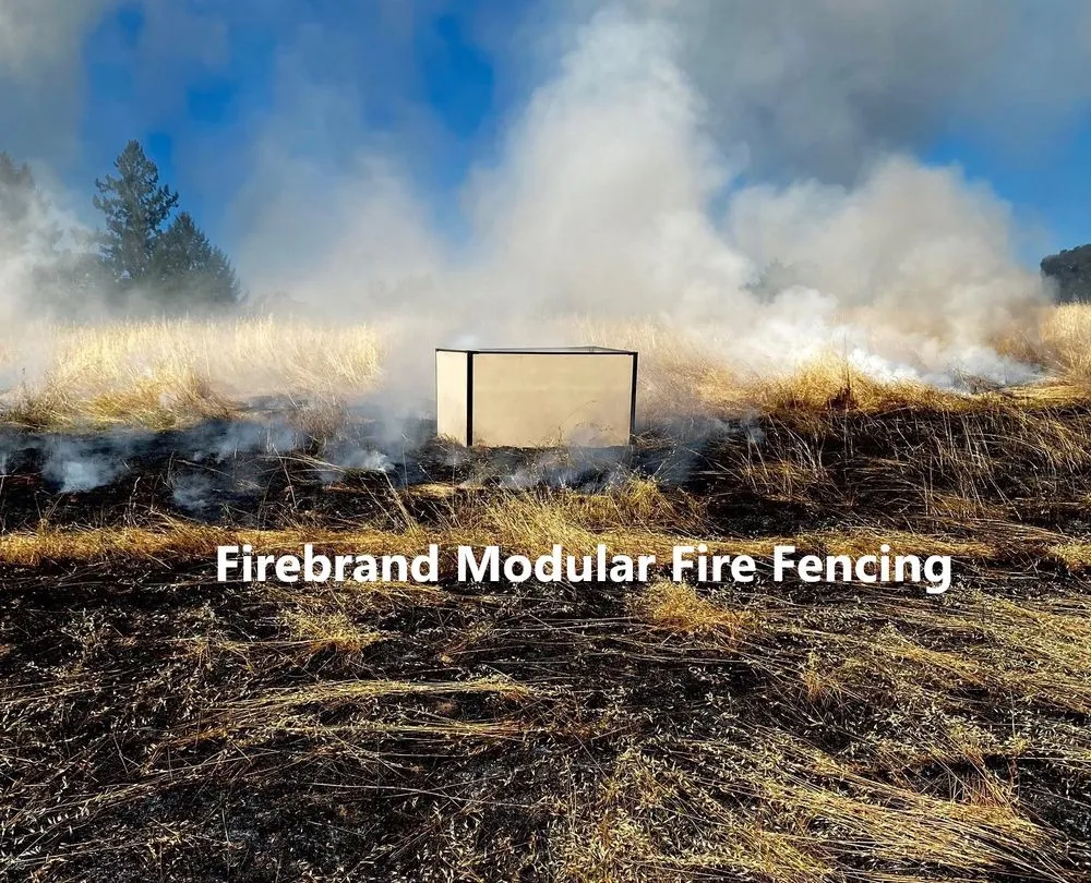 Slide of Firebrand Electric