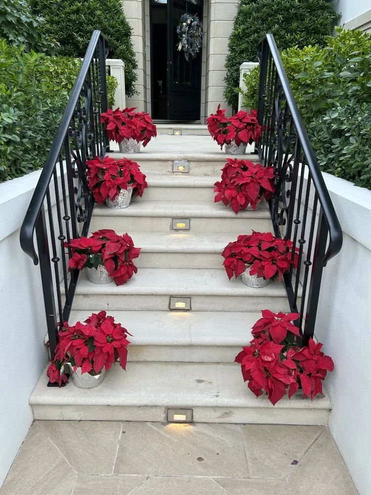 Slide of Firecomm Electric