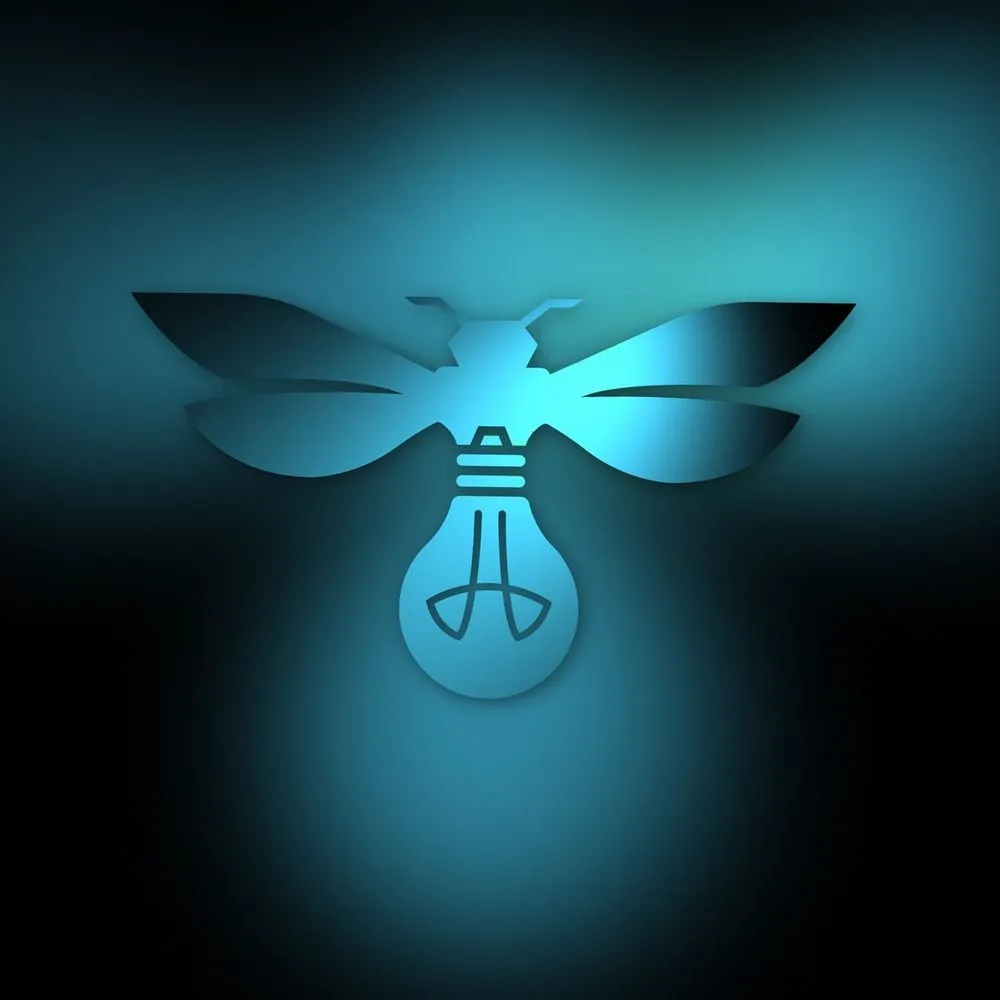 Slide of Firefly Electric Service