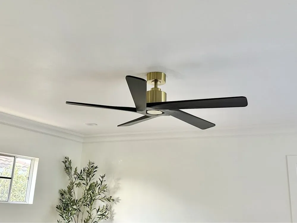 Slide of First Electric