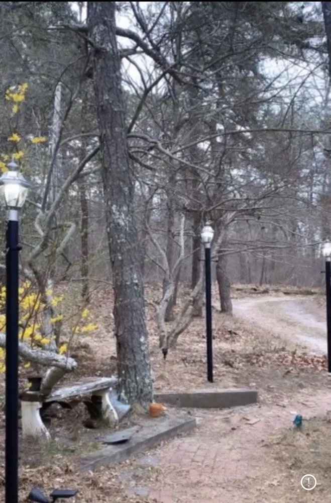 Slide of First Electric Solutions