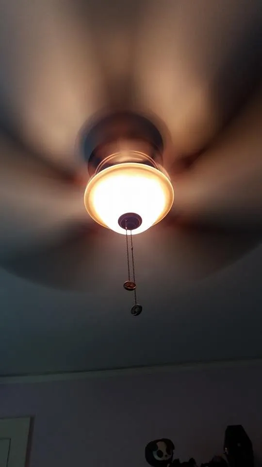 Slide of Fish Electric