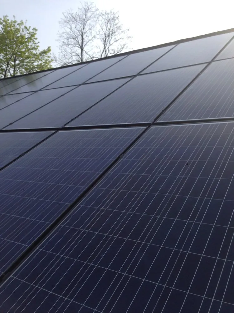 Slide of Fish Electric