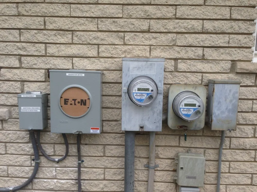 Slide of Fish Electric