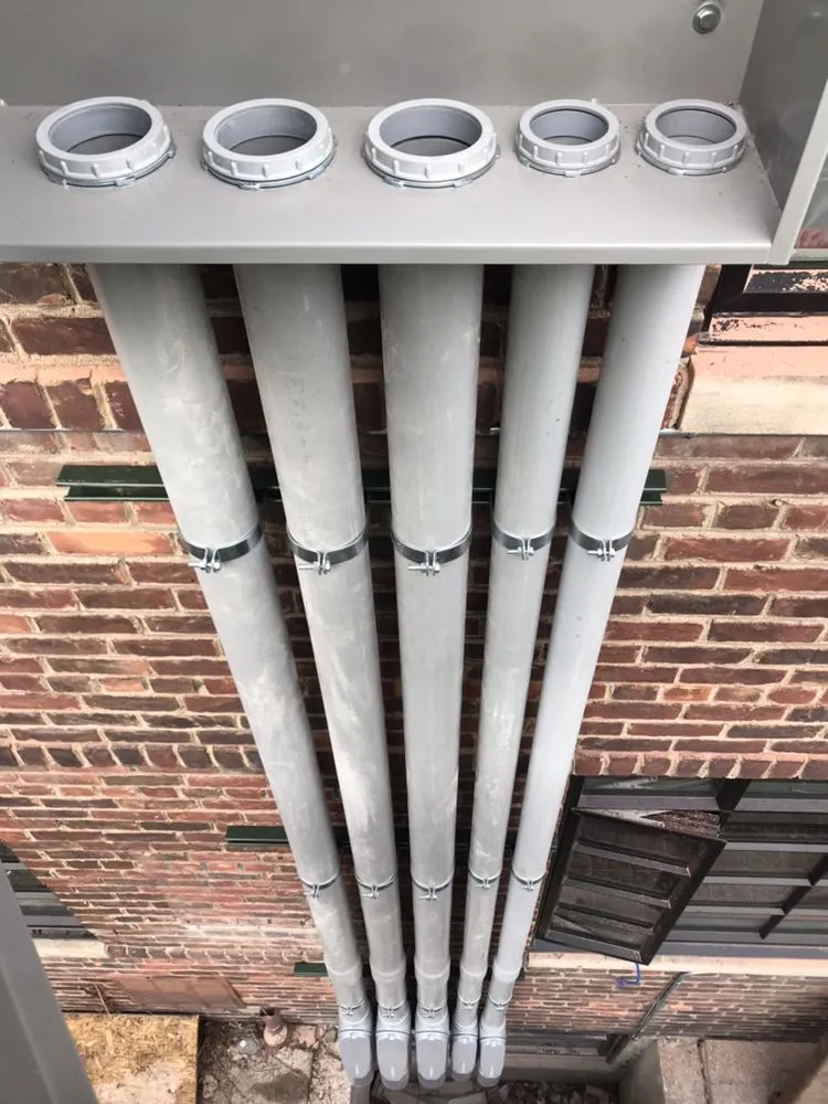 Slide of Fish Electric