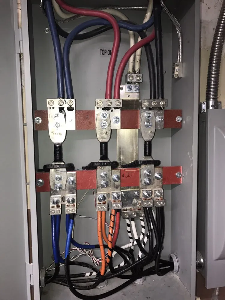 Slide of Fish Electric