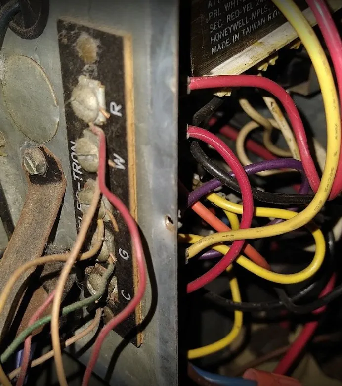 Slide of Fish skills