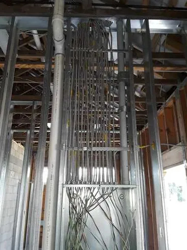 Slide of Fish skills