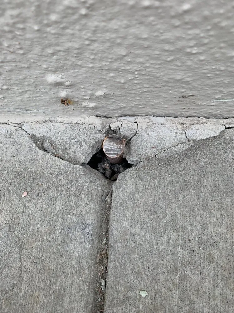 Professional electrical service for homes in panel upgrade, by